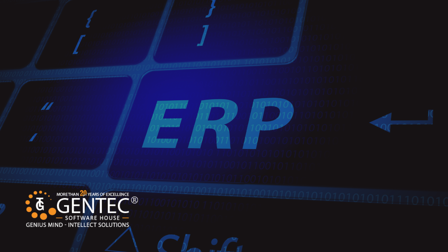 ERP Software in Pakistan